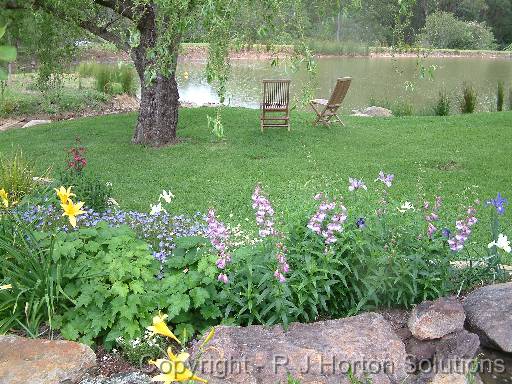 Lake -flowers in foreground 